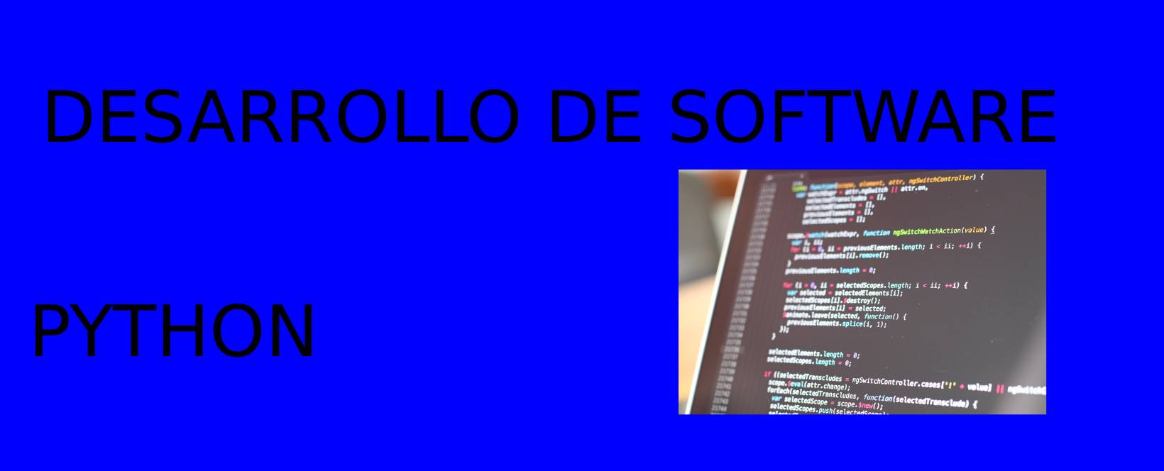 DESARROLLO DE SOFTWARE, PYTHON, JAVASCRIPT, HTML, CSS, C#, JAVA